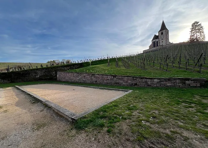 Gite Familiale Avec Piscine Hunawihr - Ribeauville