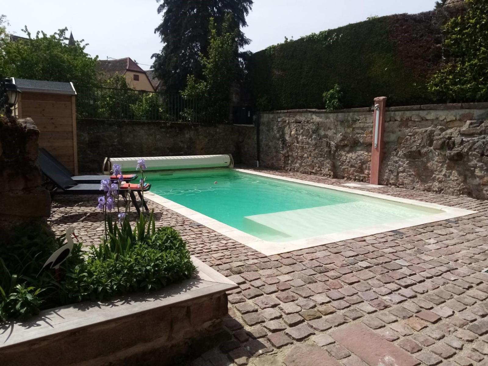 Familiale Avec Piscine - Ribeauville Holiday home *
